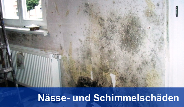 naesse_fonts.jpg naesse_fonts.jpg